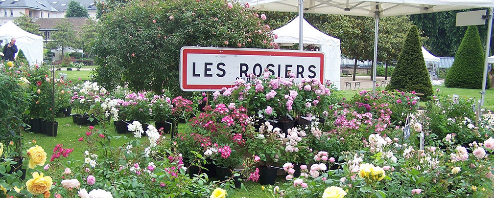 Panneaux "Les Rosiers" au centre de roses