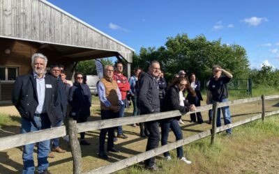 18-20H Asinerie du Dolmen