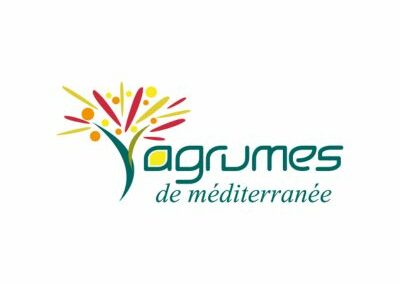 Agrumes de Méditerranée