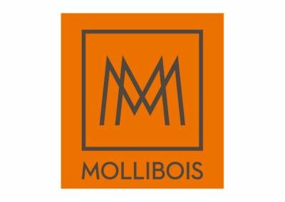 Mollibois